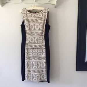 Navy and Cream lace fitted dress